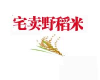 上手就能用的WDW50A电子万能试验机操作维护指南